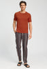 Full-body view of a men model wearing HA roobios tea cotton S/SLV Shirt