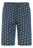 Front cutout view of HA celestial night cotton Short Pants