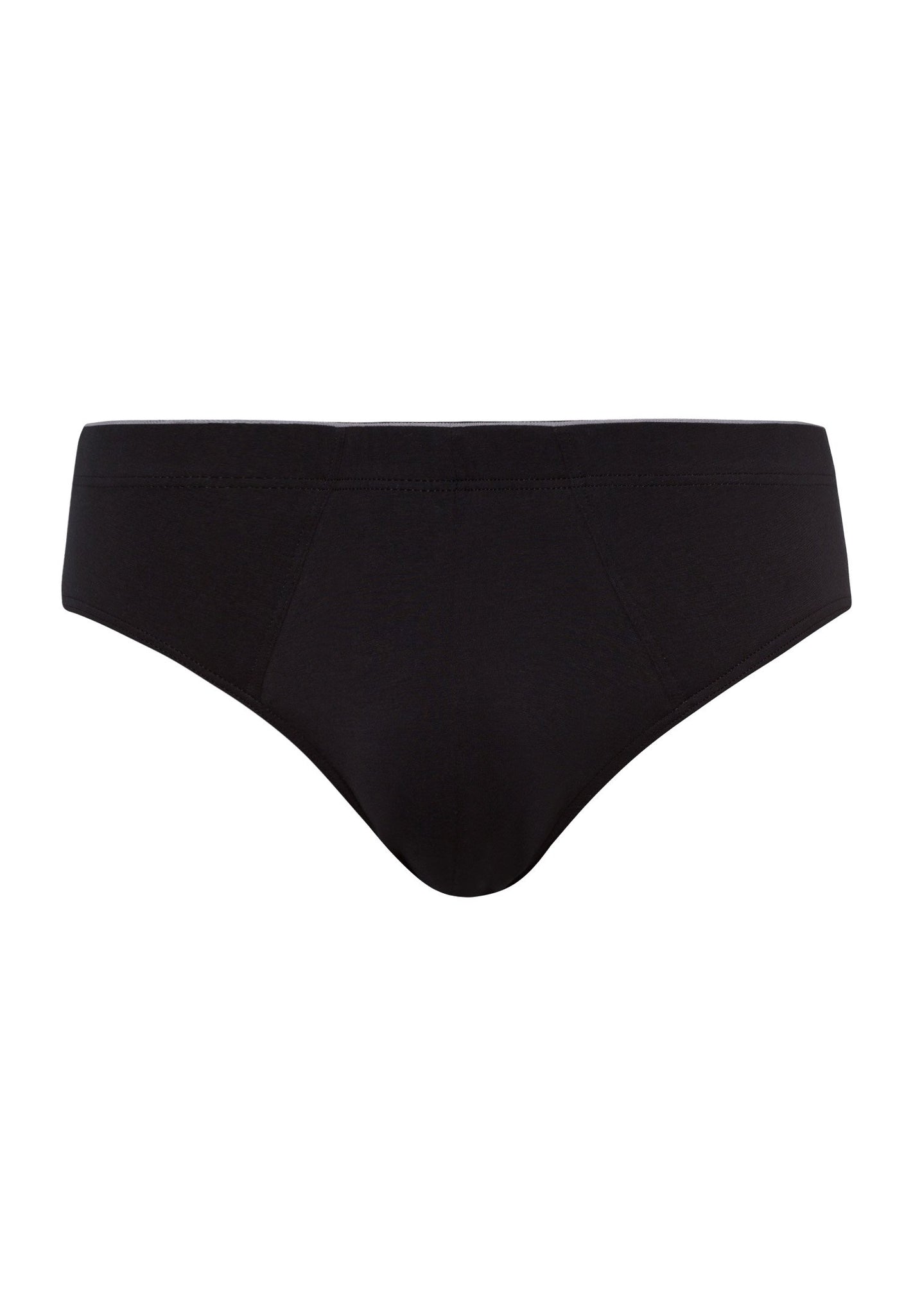 HANRO_B_M_CottonSuperior_Briefs_073085_070199_010.jpg
