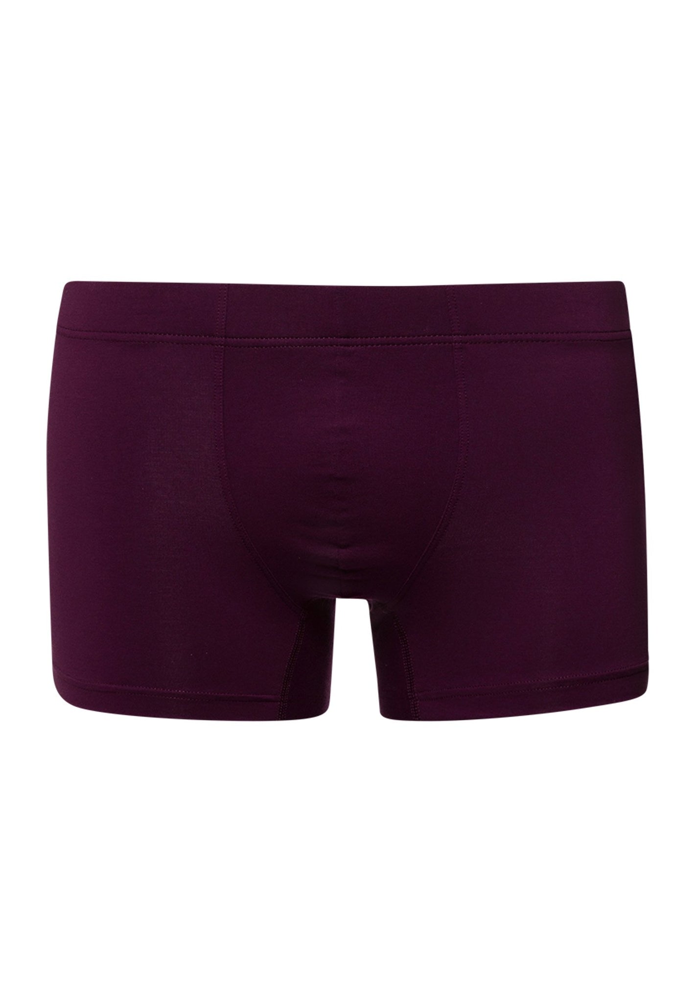 HANRO_S_M_CottonEssentials_BoxerBrief_079311_071488_010.jpg